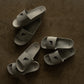 Lipizzan Slides